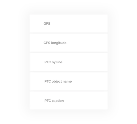 Parallel tagging and categorization hierarchies