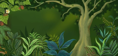 social forestry knowledge tree
