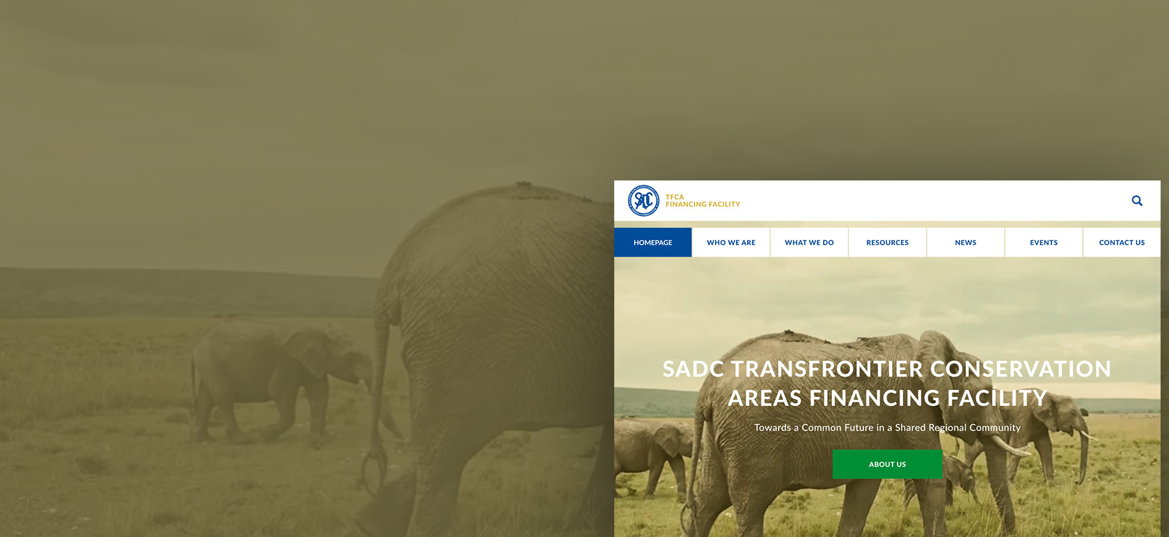 SADC TFCA Financing Facility