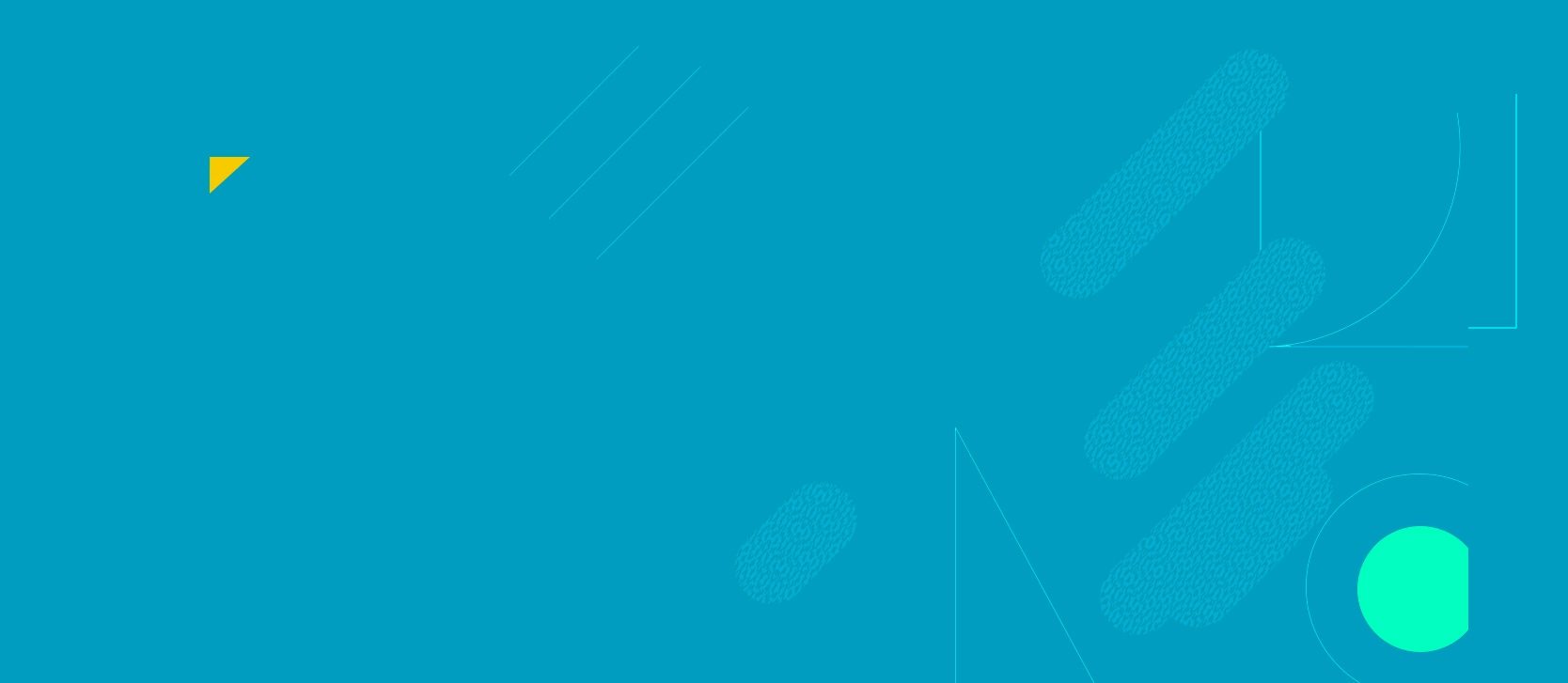 web applications, intra & extranets, news portals, e-shops with system integrations