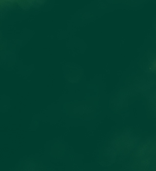 The University of Kansas: Community Tool Box