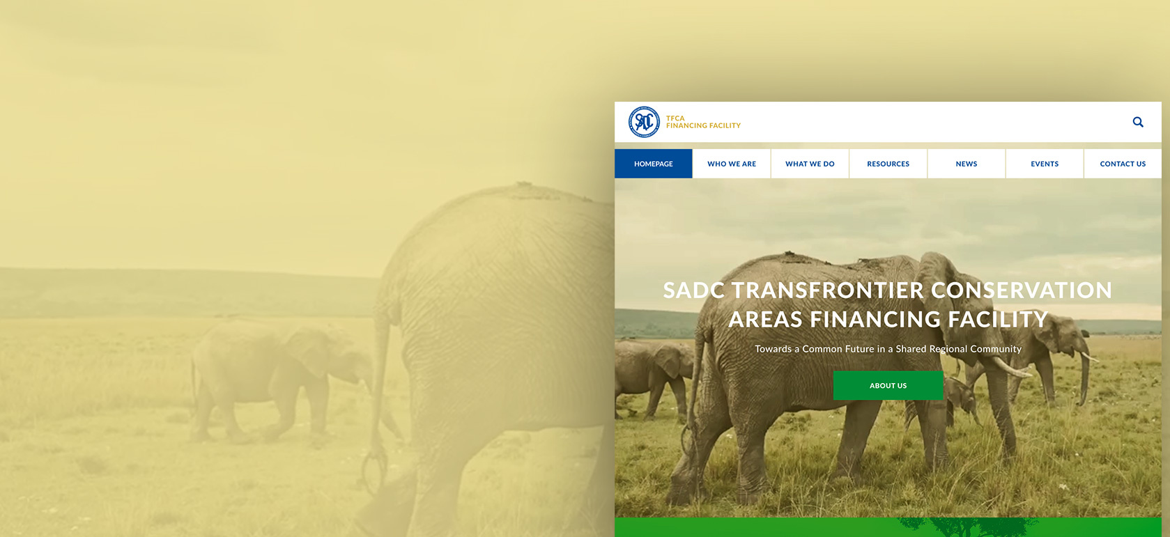 SADC TFCA Financing Facility