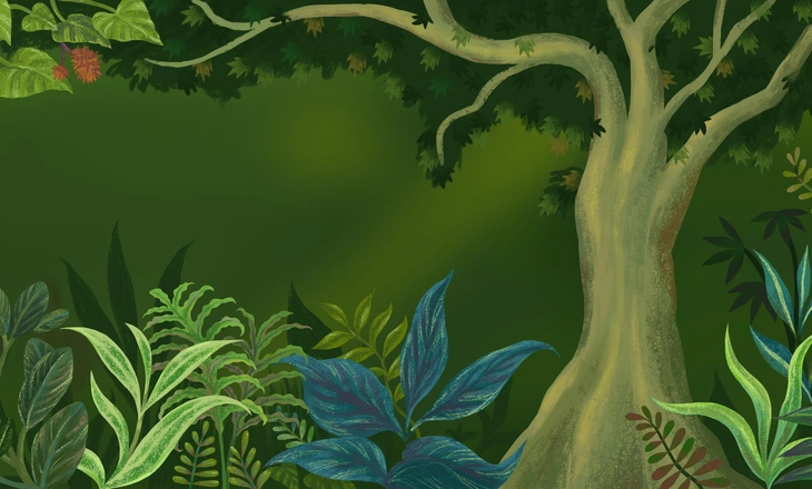 resilient communities, sustainable forests